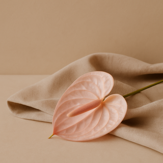 Scheidentrockenheit – Wenn der Intimbereich nicht mehr mitspielt