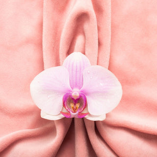 Vulva oder Vagina reinigen – was gehört wirklich dazu? - ohtastic